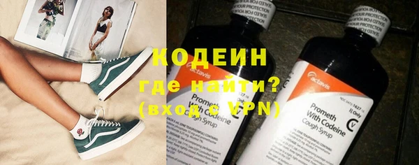 стаф Арсеньев