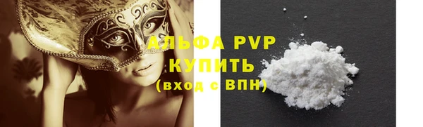 стаф Арсеньев