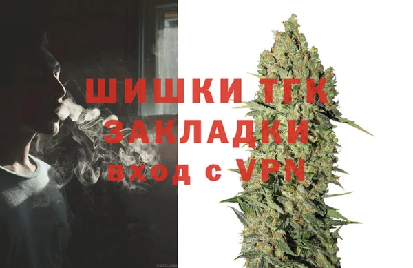 стаф Арсеньев
